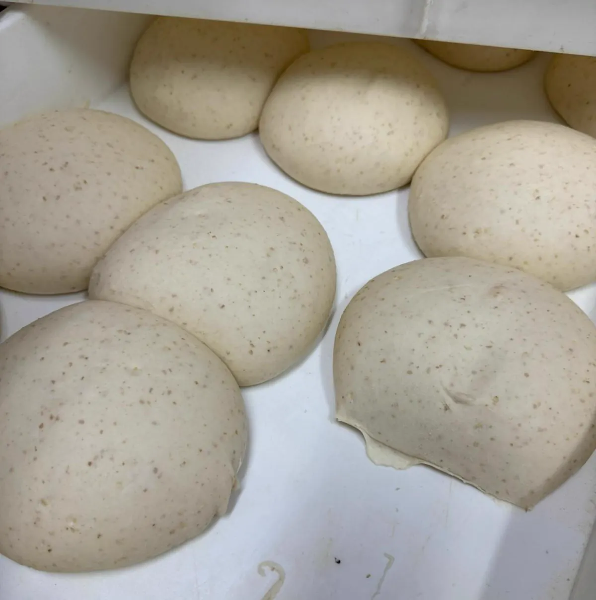 Panetti di impasto pronti per la stesura